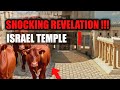 The Red Heifers SECRETLY Arrived in Israel to Prepare the Third Temple!