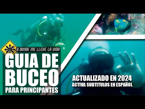 Vídeo: Guía Para Principiantes Sobre El Buceo En El Basurero - Matador Network