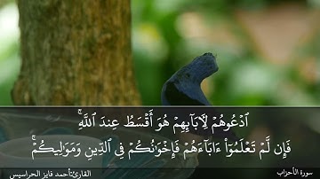 الصفحة 418 سورة الأحزاب القارئ المهندس أحمد فايز الحراسيس