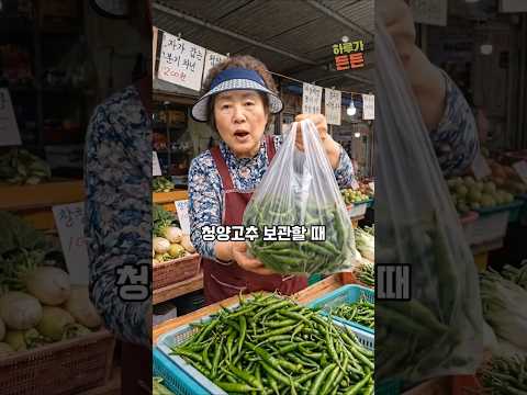 청양고추 밀폐용기에 절대 그냥 넣지 마세요! thumbnail