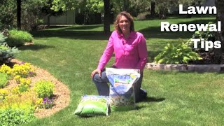 Lawn Renewal Tips