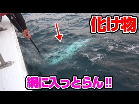 【神回】長崎県五島沖・奇跡の4連発‼