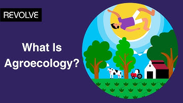 What Is Agroecology?
