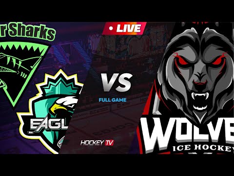 2023 제2회 ICEBOX CHALLENGE 3 on 3 아이스하키대회 유치부 이글타샥B vs 울브즈 [LIVE] 2023.12.2