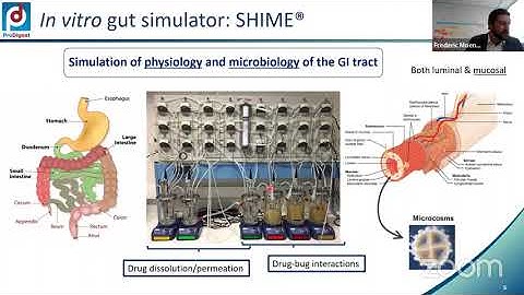 UNGAP-INFOGEST Online workshop on “Dynamic in vitro digestion models”: SHIME and Diamod