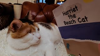 Harriet The Beach Cat's Book! by One Man Five Cats 2,499 views 2 years ago 2 minutes, 54 seconds