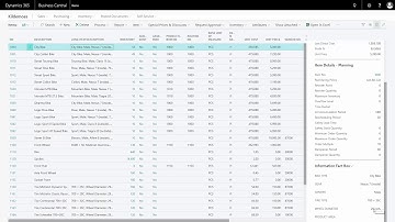 Create Descriptions for Fact Boxes - Master Data in Dynamics 365 Business Central