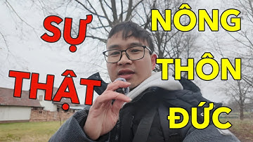 Chuyện Gì Đang Xảy Ra Ở Nông Thôn Nước Đức? | Đức Vet