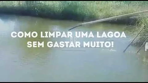 Como limpar o fundo de uma lagoa?