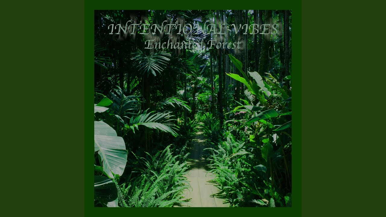 Watch Enchanted Forest on YouTube Watch Enchanted Forest on YouTube