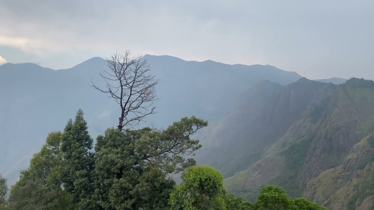 Munnar Kerala | Viewpoint May 2023