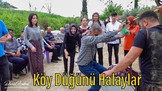 Bu Köy Halayı Çok Seviyor Davul Zurna Çalıyor Halay Başı Oynuyor 