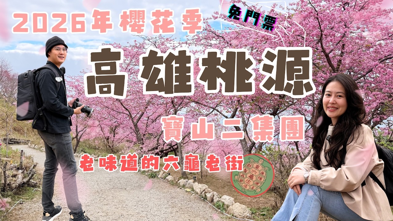 高雄桃源｜2026年寶山二集團櫻花交通花期現況｜六龜有老街？
