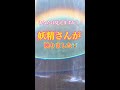 あなたは見えますか?【妖精が映りました】見た人に奇跡が起こる「ター滝」の精霊 #shorts