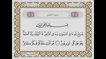 سورة التغابن بصوت الشيخ حسن صالح 064