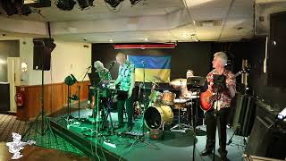 Wooly Bully played by Da Management - Live!