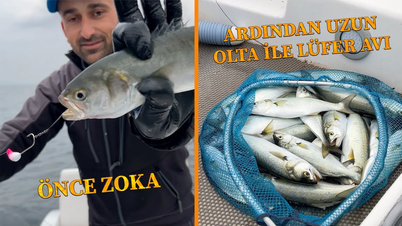 ÖNCE ZOKA ARDINDAN ARDINDAN CANLI ZARGANA İLE UZUN OLTA LÜFER AVI