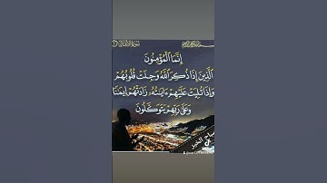 سورة الانفال بصوت رائع