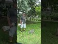 SGP threatens to call policia on man _IG STORY 2025 #spaceghostpurrp #miamidadecounty #shorts