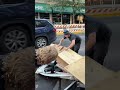 Skating a Pile of Trash in Portland