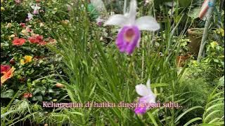 Masihkah Ada Cinta - Rahimah Rahim (Lirik hjz)