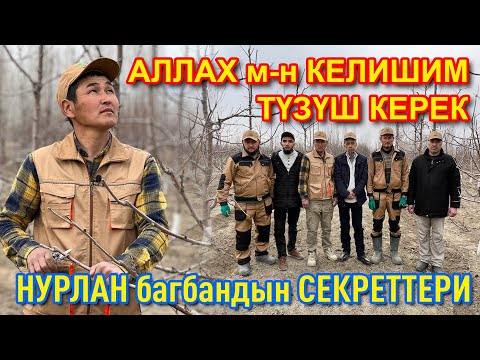 Video: Кызматтын дизайн пакети качан даярдалышы керек?