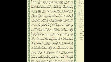 الجزء الثامن من القرآن الكريم من الآية 111 (الأنعام) وحتى الآية 87 (الأعراف) بصوت الشيخ ياسر الدوسرى