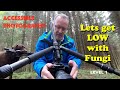 Lets get Low with Fungi