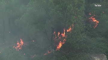Nắng nóng gia tăng, cảnh báo cháy rừng ở Trung Bộ