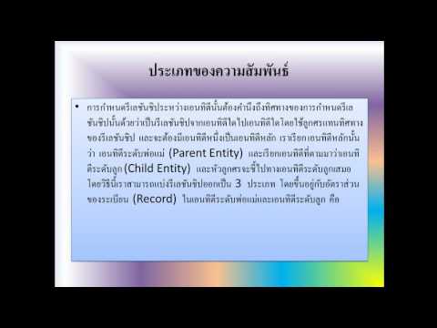 เอนทิตี้ แอททริบิว และ ความสัมพันธุ์ เบื้องต้น