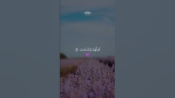 سورة البقرة قران كريم تلاوه خاشعه
