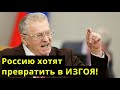 Жириновский у Соловьева о Белоруссии и Навальном! Жесткий прогноз депутата