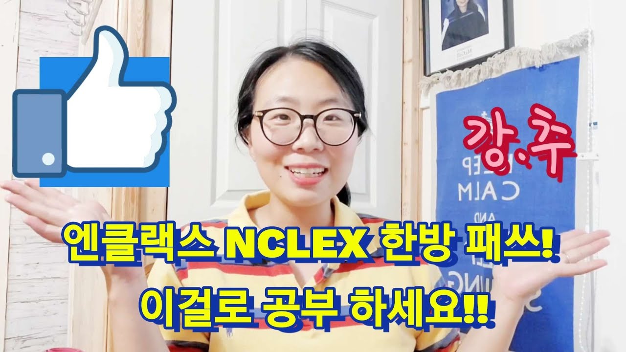 엔클렉스 NCLEX 준비 할때 이것만 있음 한방 패쓰! 이걸로 공부 하세요. 무기템 소개