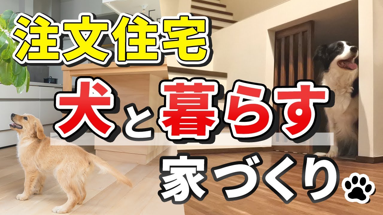 【注文住宅】犬と暮らす家づくり - YouTube