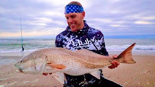 24Hr Catch Cook And Camp- Epic Surf Fishing!!