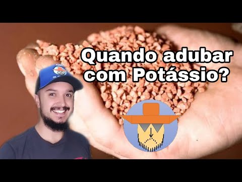 Vídeo: Cloreto De Potássio Fertilizante: Instruções Para Uso No Jardim. Fórmula E Composição Do Fertilizante Mineral De Cloreto De Potássio Para Plantas