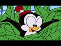 Chilly Willy en Español 🐧Base secreta - Capitulos completos🐧Dibujos Animados