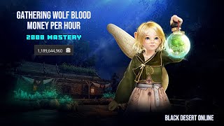 [BDO] Gathering - Wolf Blood - 2000 Mastery - Money Per Hour - 2024