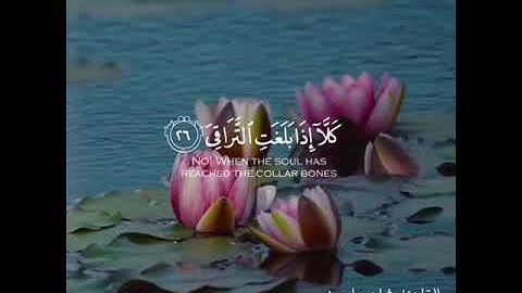 تلاوة خاشعة تريح القلب🥀🥀#سورة_القيامة 🎤القارئ#مشاري_ياسين #قرآن_الكريم_حالات_واتساب