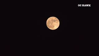 Celebrity 4K Strawberry Full Moon 🌕 6-24-21 Profile