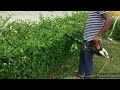 🌾HEDGE Design For Trimmer हैज कटिंग डिजाइन  #professional Electronic Hedge trimmer-HSE52 👍