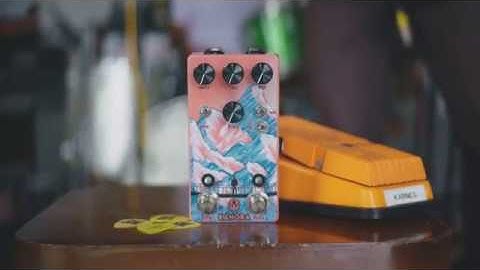 Walrus Audio Pedal Play: Kangra Filter Fuzz - Filter w/Expression