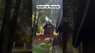 Naoki Sempre Trabalhando