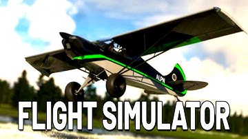 What could go Wrong - Microsoft flight simulator 24
