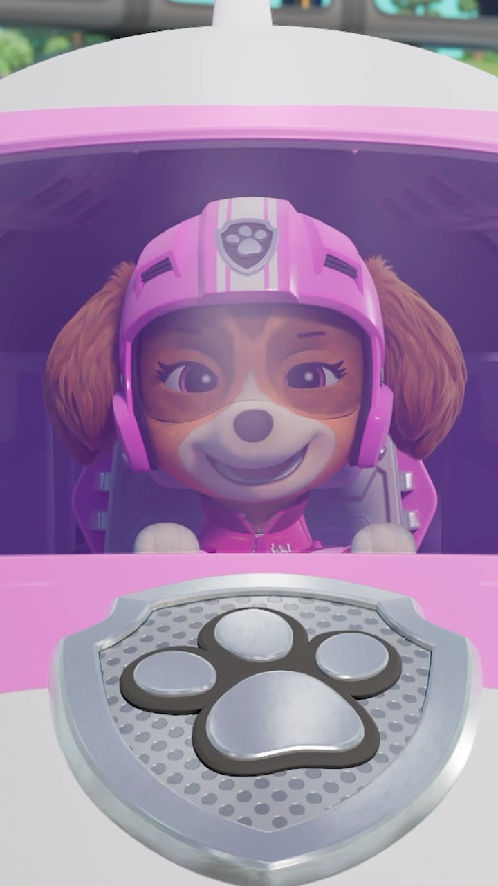 paw patrol air rescue pups! #1