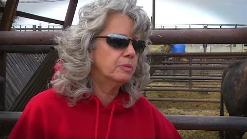 PBR Bull Care: Marlene Henry
