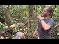 Soltando uma cobra na selva Amazônica