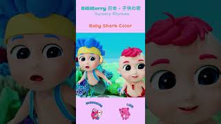 Baby Shark Color Song  Learn Colors With Baby Shark  Bibiberry shorts nurseryrhymes
