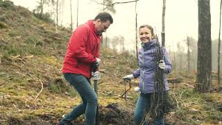 Salda Planting Trees In 2024