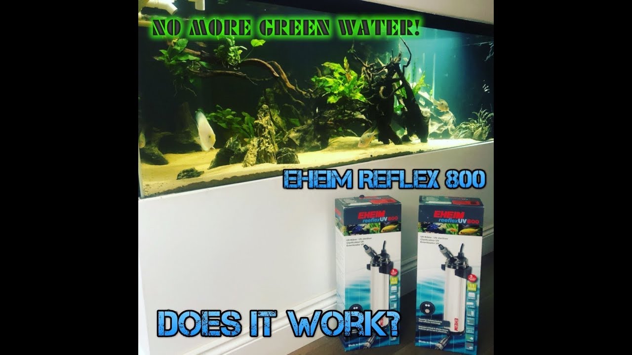EHEIM Reeflex 800 11 Watts Filtre UV pour aquarium